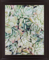 Verdant Rosette Cluster 28 in. x 34 in. Framed Wall Art