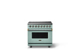 36"W. Induction Range (Finish: Splash, Trim: Brushed Brass)