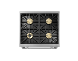 Dual Fuel Pro Range, Silver Stainless Steel, Natural Gas