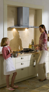 Designer Wall Hood