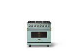 36"W. Dual Fuel Range (Burner: 6b, Finish: Splash, Trim: Brushed Brass, Fuel: Natural Gas)
