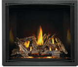 Elevation? X 42 Direct Vent Gas Fireplace