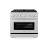 ZLINE 36 in. 5.2 cu. ft. Gas Range with Convection Gas Oven in DuraSnow' Stainless Steel with 6 Brass Burners (SGRS-BR-36)