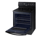 5.9 cu. ft. Freestanding Electric Range with Two Dual Power Elements in Black