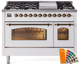 Nostalgie II 48 Inch Dual Fuel Natural Gas Freestanding Range in RAL Custom Color with Bronze Trim