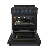 30 Inch Professional Gas With Precision Knob Control In Black/blue
