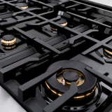 ZLINE Autograph Edition 36 in. 5.2 cu. ft. Classic Gas Range with 6 Burner Cooktop and Convection Gas Oven in Stainless Steel with Black Matte Door and Champagne Bronze Accents (CGRZ-BLM-36-CB)