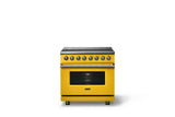 36"W. Induction Range (Finish: Daffodil, Trim: Brushed Brass)
