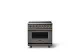 36"W. Induction Range (Finish: Damascus Gray, Trim: Brushed Brass)