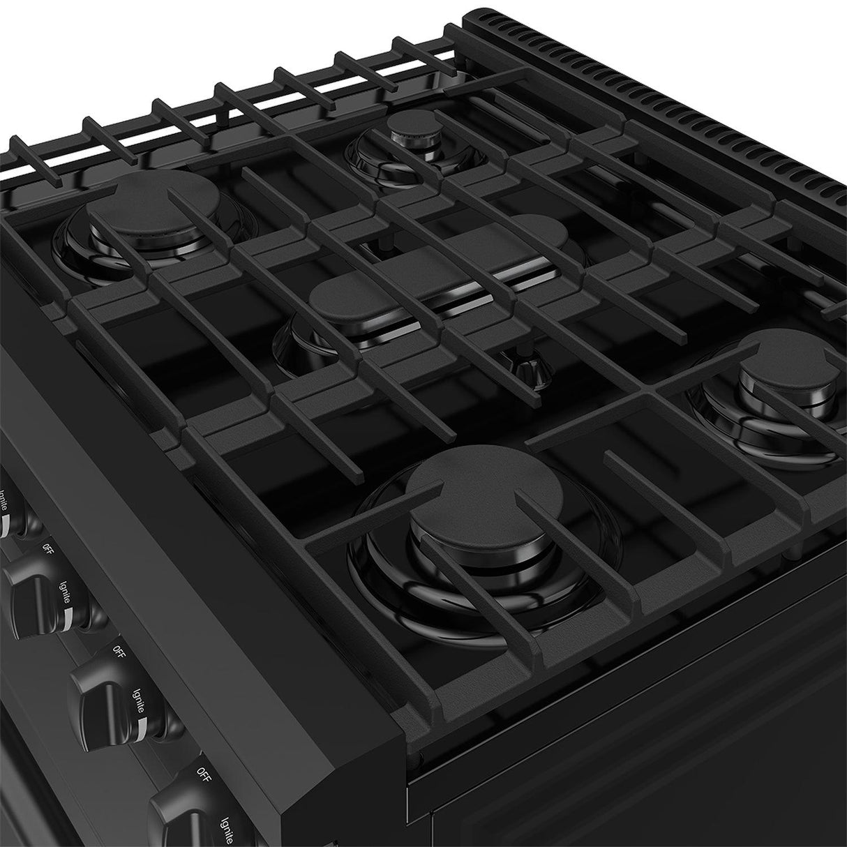 30 Inch Professional Gas Range In Black