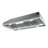 Monsoon II Insert, 60in, SS, LED, ACT