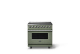 36"W. Induction Range (Finish: Eucalyptus, Trim: Polished Chrome)