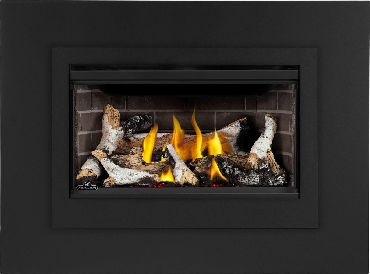 Rosedale 2 Direct Vent Gas Insert