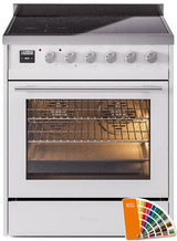 Professional Plus II 30 Inch Electric Freestanding Range in RAL Custom Color with Trim