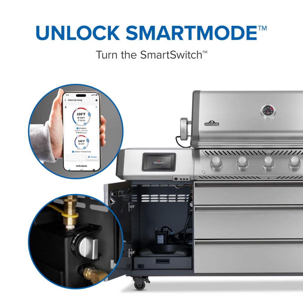 Prestige PRO 665 Elite with Smart Technology & Electric Smoker Box , Natural Gas, Stainless Steel