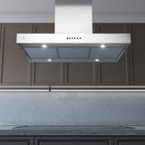 48" CCC 600/395 CFM Low Profile Island Hood SS