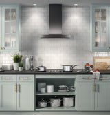30" Smart Designer Wall Mount Hood w/ Perimeter Venting