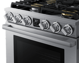 30" Range, Silver Stainless, Natural Gas/Liquid Propane