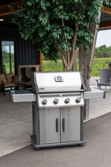 Rogue XT 525 with Smoker Box , Propane, Stainless Steel
