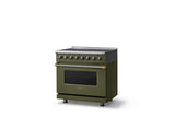 36"W. Induction Range (Finish: Martini, Trim: Brushed Brass)