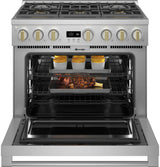Monogram 36" Dual-Fuel Professional Range with 6 Burners