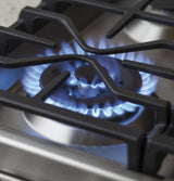 GE Profile™ Series 30" Free-Standing Gas Double Oven Convection Range