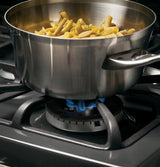 GE Profile™ Series 30" Dual-Fuel Free-Standing Range with Warming Drawer