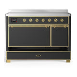 ILVE UMIB48QNR3MGG Majestic III 48 inch Induction Range with 6 Elements, 5.02 cu. ft. Total Oven Capacity (Solid Door, Graphite Matte, Brass)