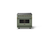 36"W. Induction Range (Finish: Eucalyptus, Trim: Brushed Brass)
