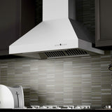 ZLINE Professional Ducted Wall Mount Range Hood in Stainless Steel (667)