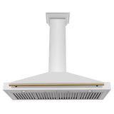 ZLINE 48 in. Autograph Edition Convertible Stainless Steel Range Hood with Stainless Steel Shell and Champagne Bronze Accents (KB4STZ-48-CB) [Color: Champagne Bronze Accents]