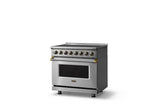 36"W. Induction Range (Finish: Stainless Steel, Trim: Brushed Brass)