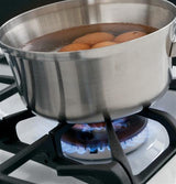 GE Profile™ Series 30" Free-Standing Self Clean Gas Range
