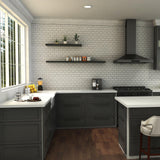 ZLINE Gemini Kitchen Faucet in Brushed Nickel (GEM-KF-BN)