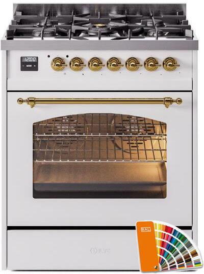 Nostalgie II 30 Inch Dual Fuel Natural Gas Freestanding Range in RAL Custom Color with Brass Trim