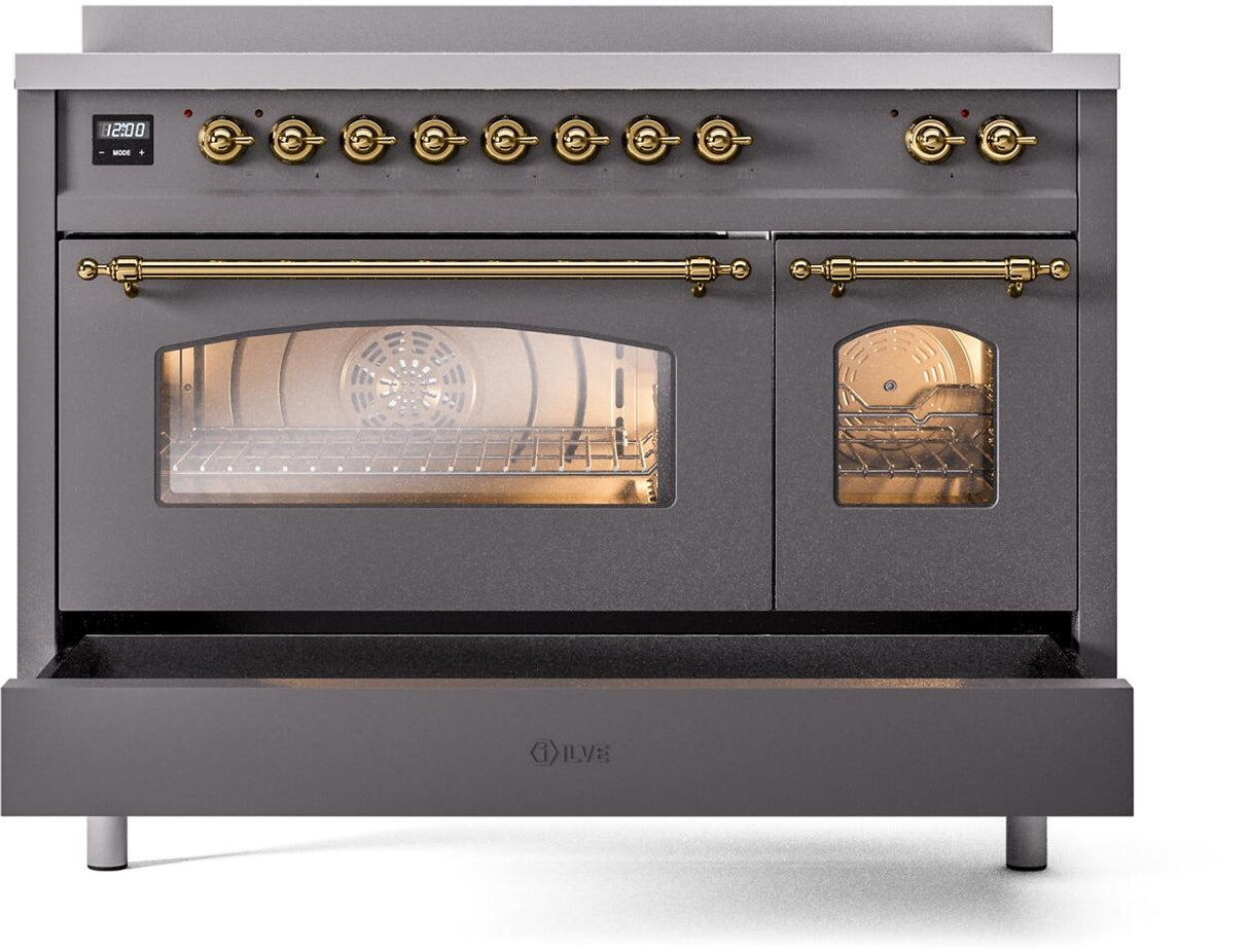 Nostalgie II 48 Inch Electric Freestanding Range in Matte Graphite with Brass Trim