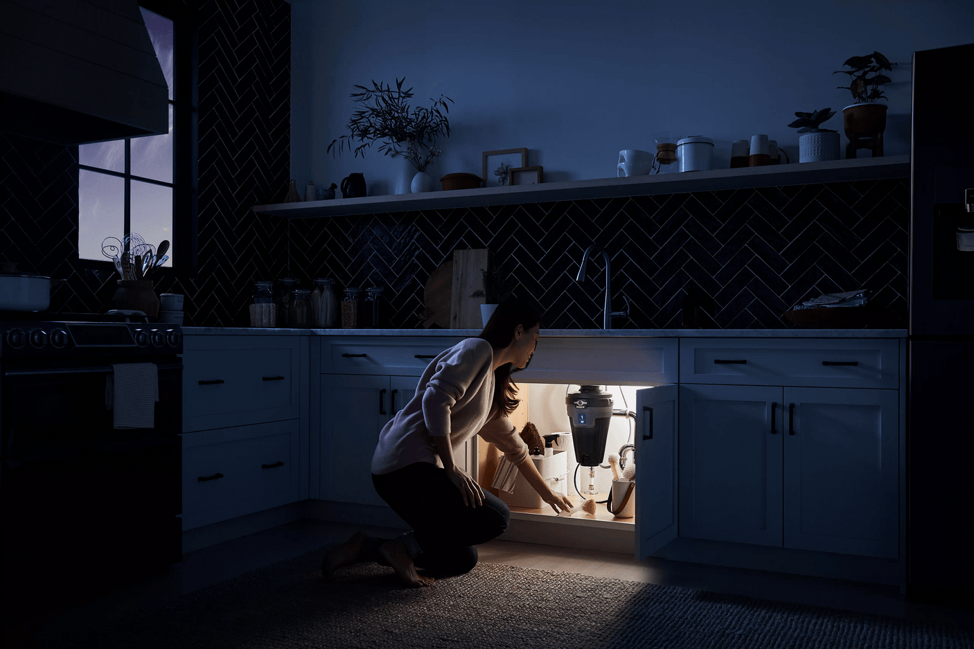 EX Series 1 Horsepower Lighted Garbage Disposal