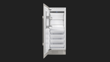 BUILT-IN FREEZER 36"