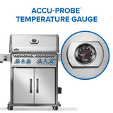 Rogue PRO-S 525 RSIB with Infrared Side and Rear Burner , Natural Gas, Stainless Steel