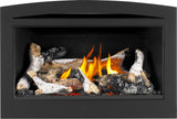 Rosedale 2 Direct Vent Gas Insert