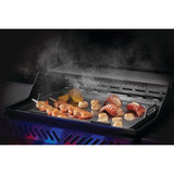 Stainless Steel Griddle Insert for all Rogue and Freestyle? 425 models