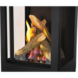 Elora Direct Vent Gas Stove