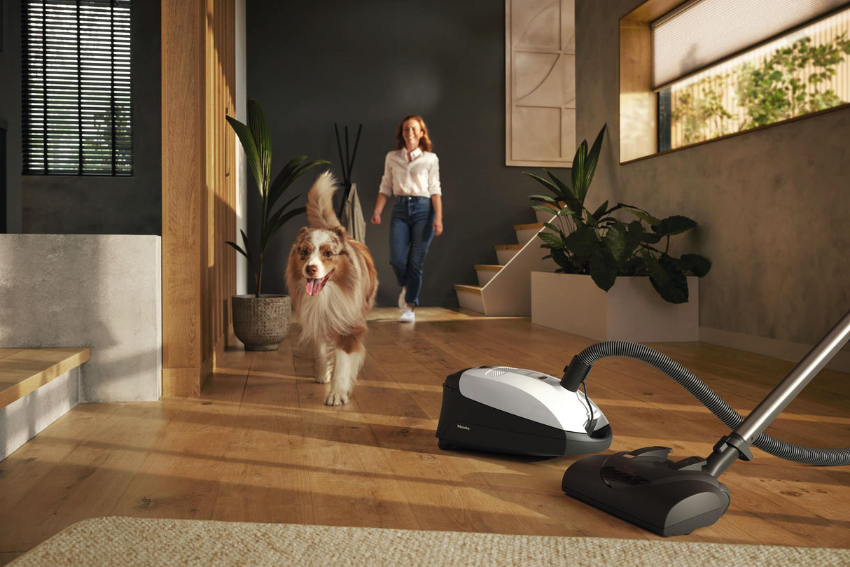Classic C1 Cat & Dog PowerLine - SBBN0 Lotus white - canister vacuum cleaners with electrobrush for thorough cleaning of heavy-duty carpeting.