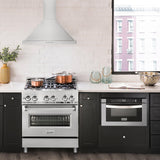 ZLINE Alpine Series Ducted Wall Mount Range Hood in Stainless Steel (ALP10WL)