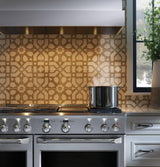Monogram 48" Dual-Fuel Professional Range with 6 Burners and Griddle (Natural Gas)