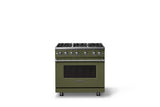 36"W. Sealed Burner Gas Range (Burner: 6b, Finish: Martini, Trim: Polished Chrome, Fuel: Natural Gas)