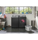 GE® 5.0 cu. ft. Capacity Smart Washer with Stainless Steel Basket