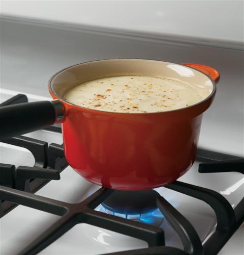 GE® 30" Free-Standing Gas Double Oven Range with Convection
