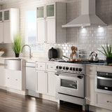ZLINE 18 in. Compact Top Control Dishwasher with Stainless Steel Tub and Modern Style Handle, 52 dBa (DW-18) [Color: DuraSnow Stainless Steel]