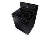 5.9 cu. ft. Freestanding Electric Range with Two Dual Power Elements in Black